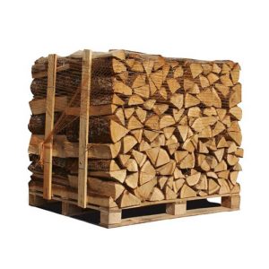 Tronchi di quercia bianca-50 cm TG982H